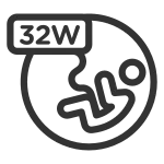 Pregnant 32w SVG Icon